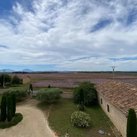 04b9 Beautiful T3 In The Heart Of Lavender - Pool Brunet